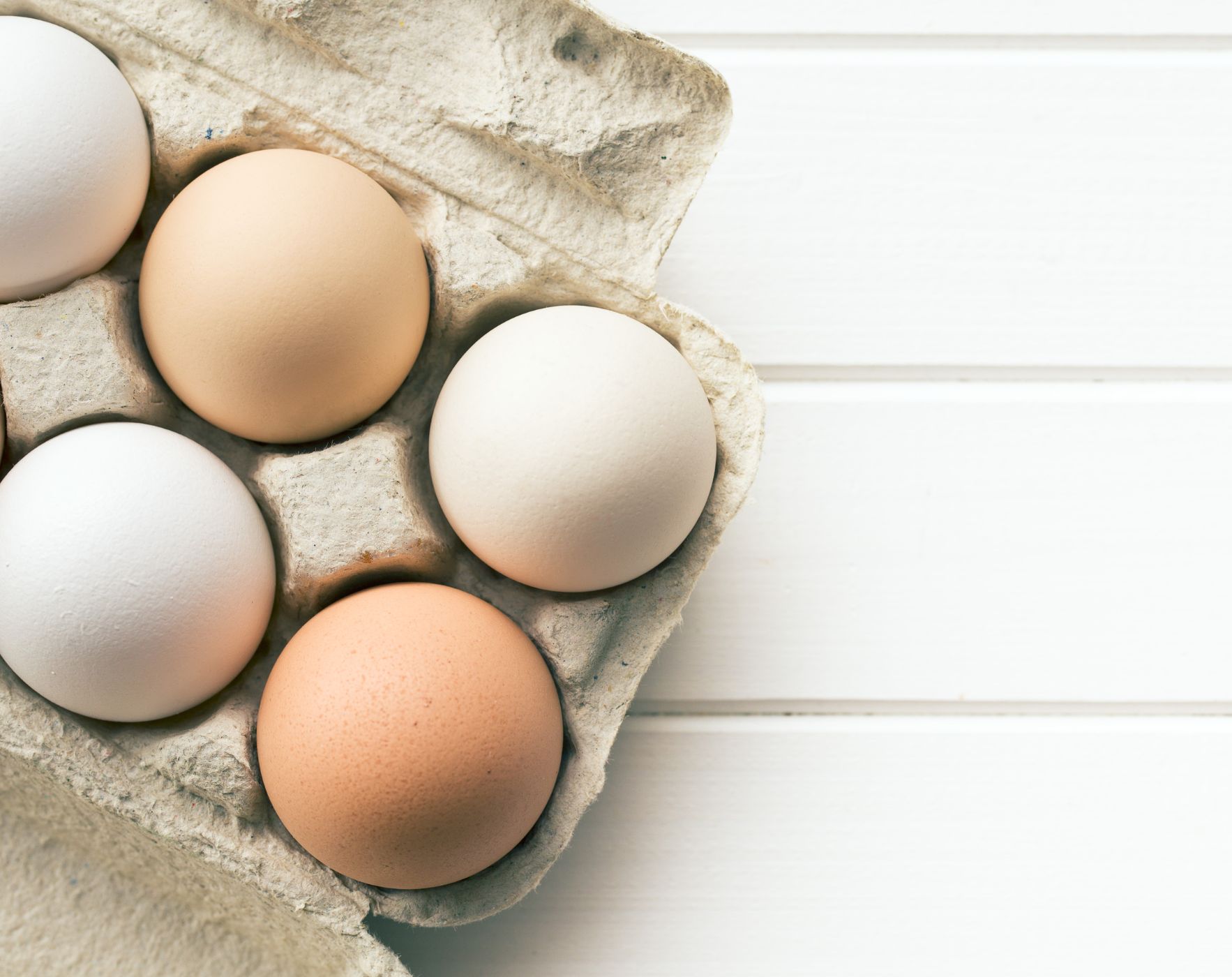 A cracked egg with a red "X" over it, visually representing why eggs are restricted on the Wahls Protocol diet for Multiple Sclerosis.