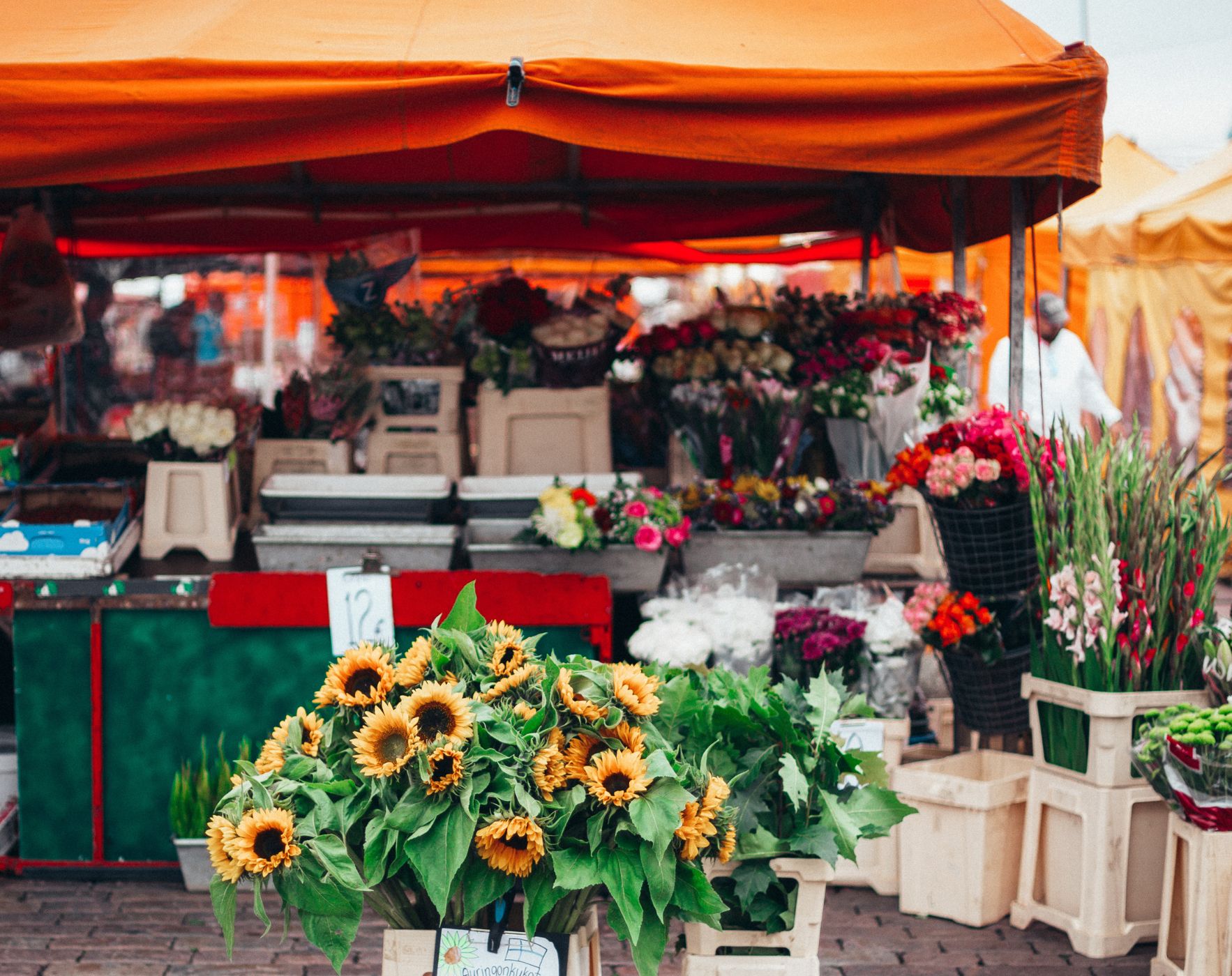 Alene Brennan at a vibrant farmers market stall, showcasing top picks for the Wahls Protocol diet and Multiple Sclerosis.