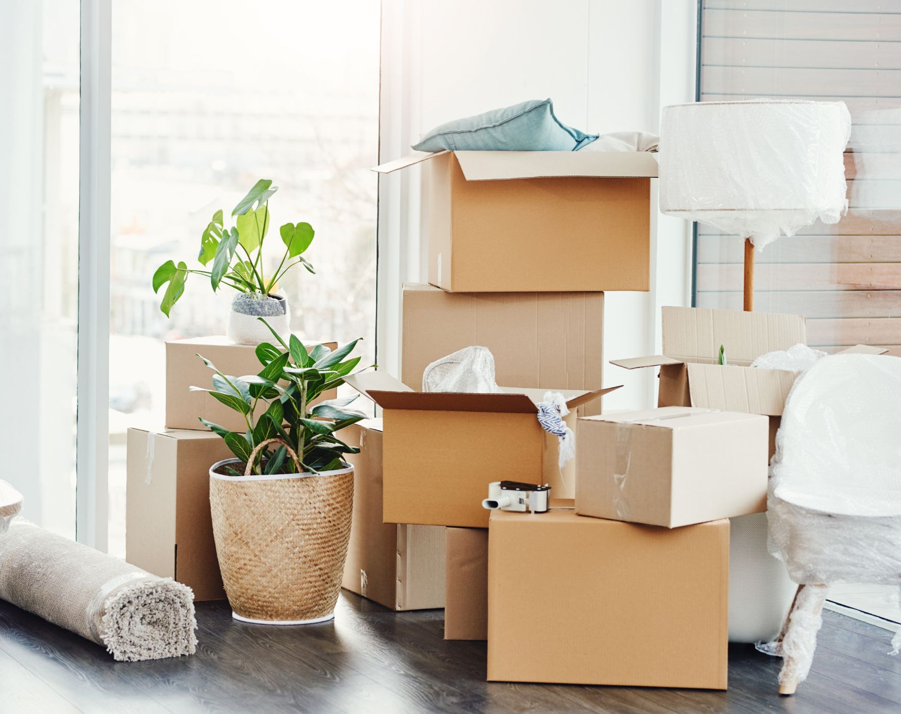 Moving boxes and a person looking overwhelmed but with a plan, representing strategies for managing a summer move or daunting projects with Multiple Sclerosis.